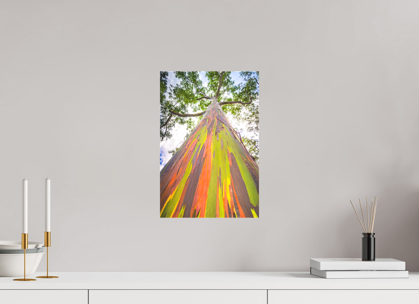 10 x 15″, Matte Canvas Print Rainbow Eucalyptus Tree