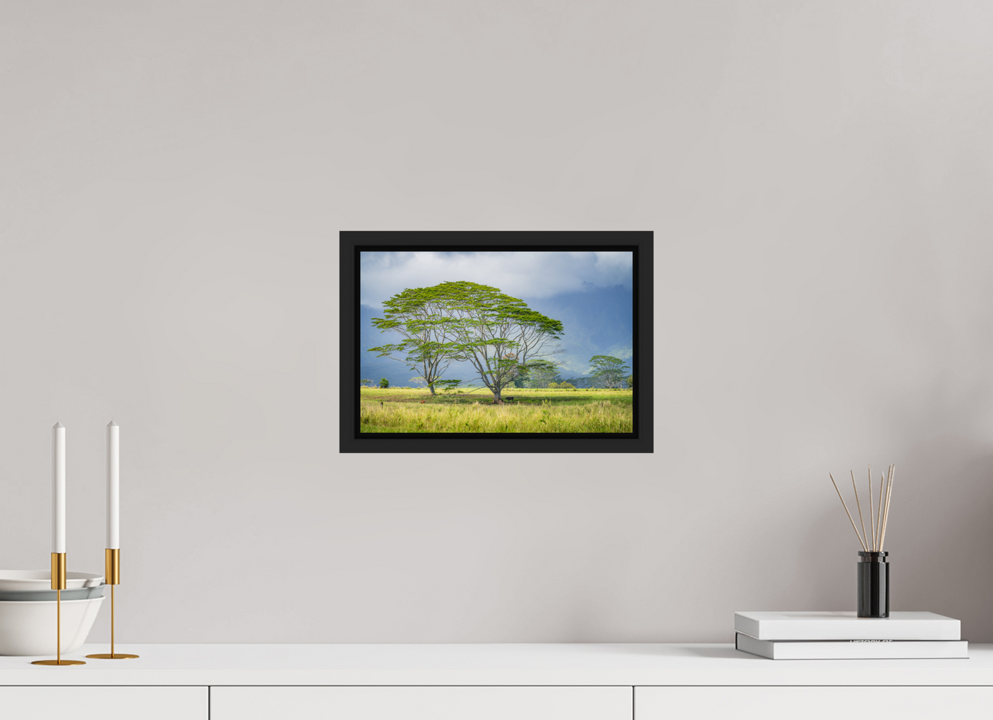 12 x 8″, ChromaLuxe HD Metal Print with Black Wood Floater Frame Savanna Trees of Kauai