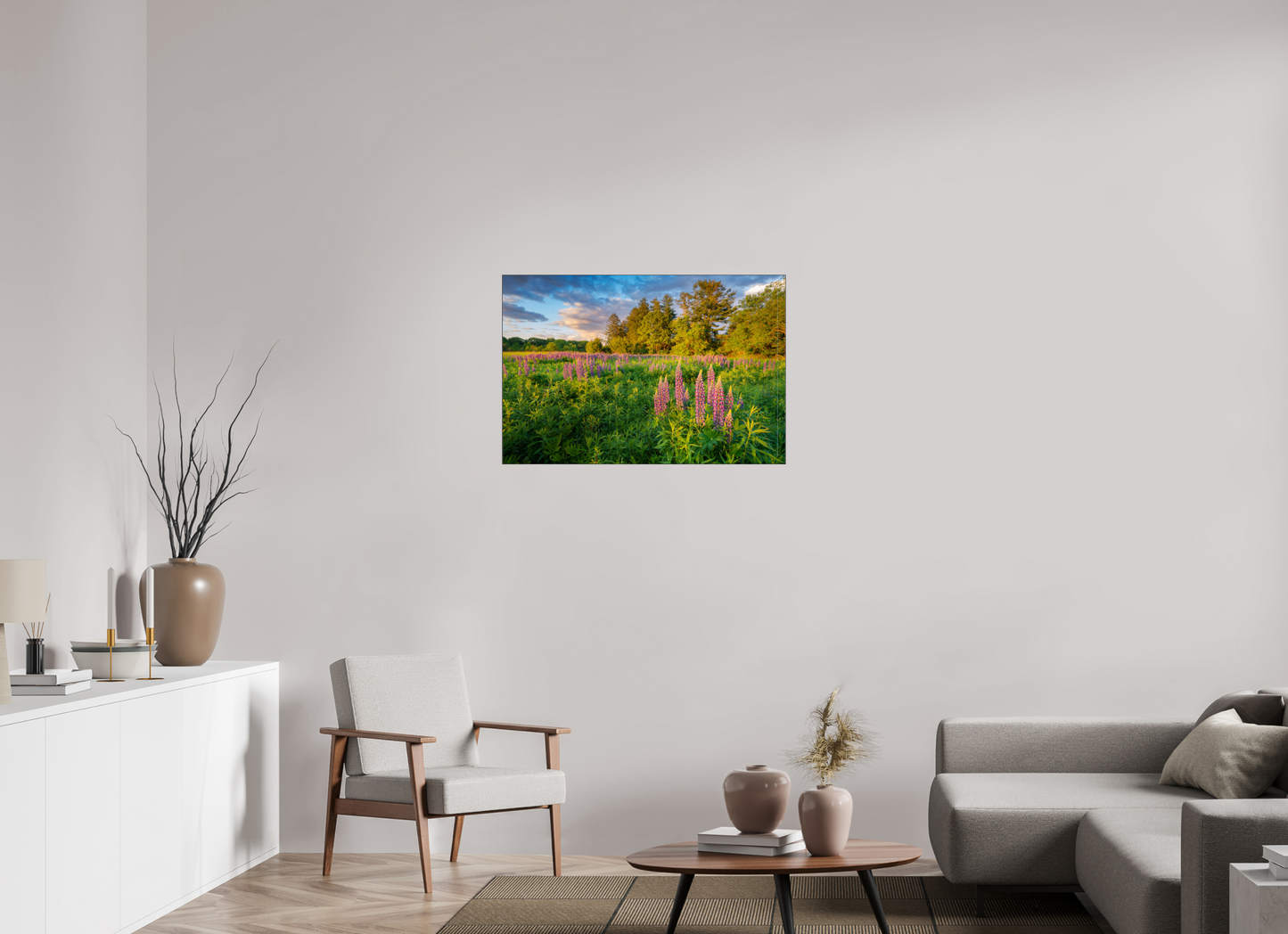 36 x 24″, Premium Photo Print under Acrylic Glass with Black Slimline Case Lupines at Golden Hour