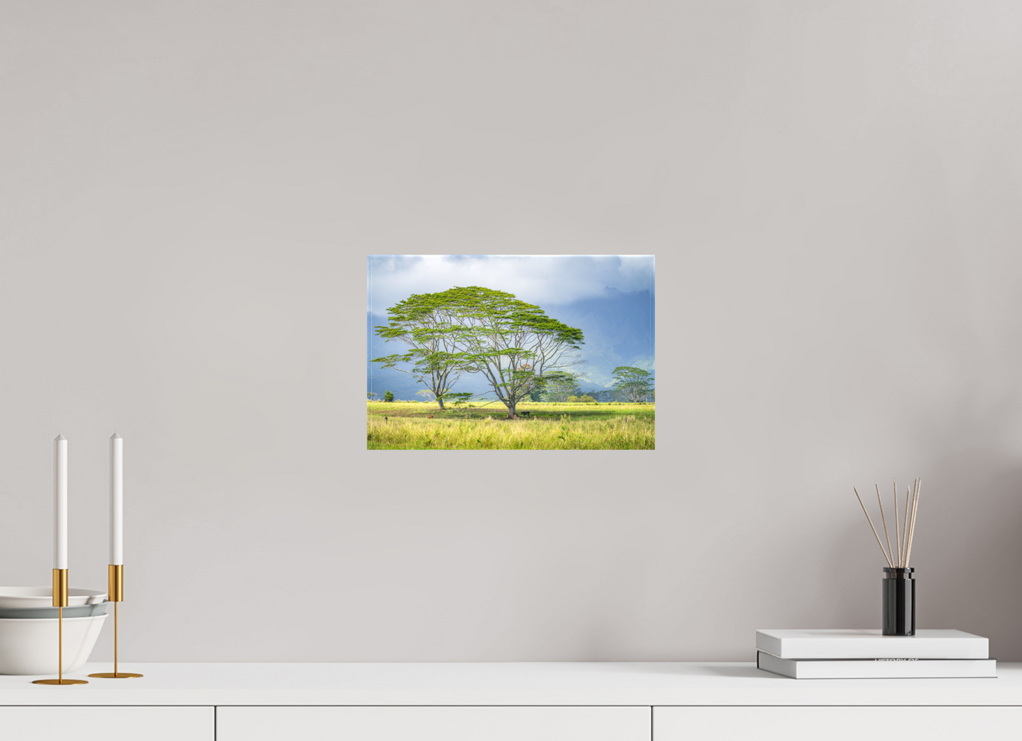 12 x 8″, Matte Canvas Print Savanna Trees of Kauai