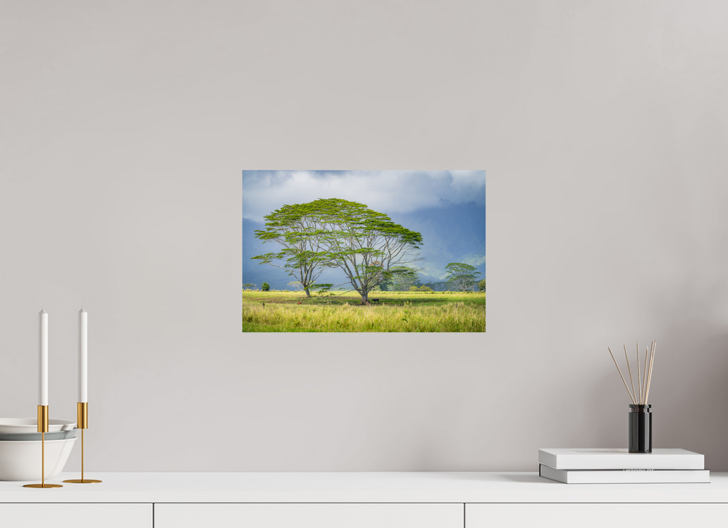 15 x 10″, Photo Print on Fuji Crystal DP II Savanna Trees of Kauai
