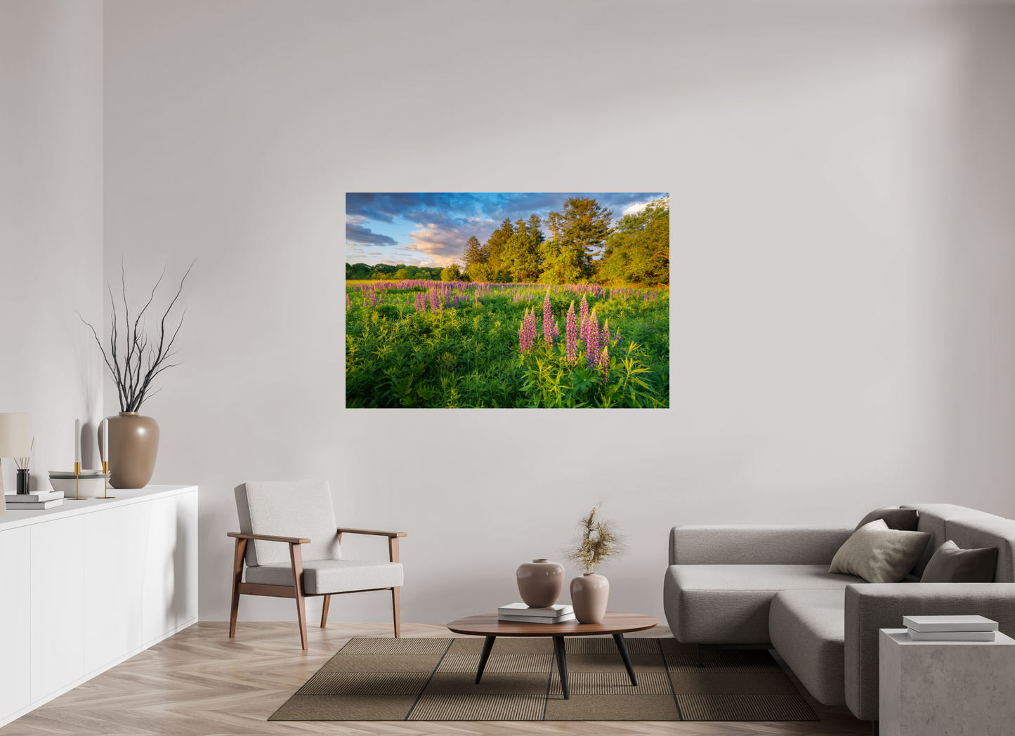 66 x 44″, Premium Photo Print under Acrylic Glass Lupines at Golden Hour