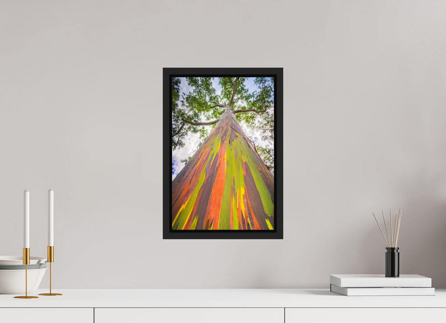 10 x 15″, ChromaLuxe HD Metal Print with Black Wood Floater Frame Rainbow Eucalyptus Tree