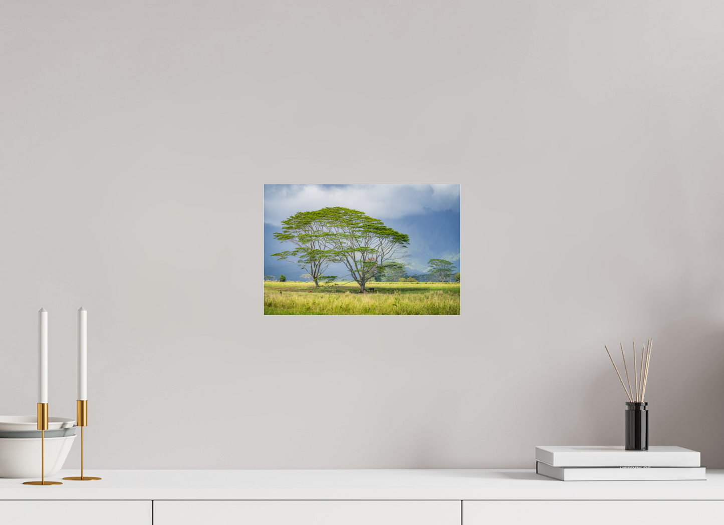 12 x 8″, Photo Print under Acrylic Glass Savanna Trees of Kauai