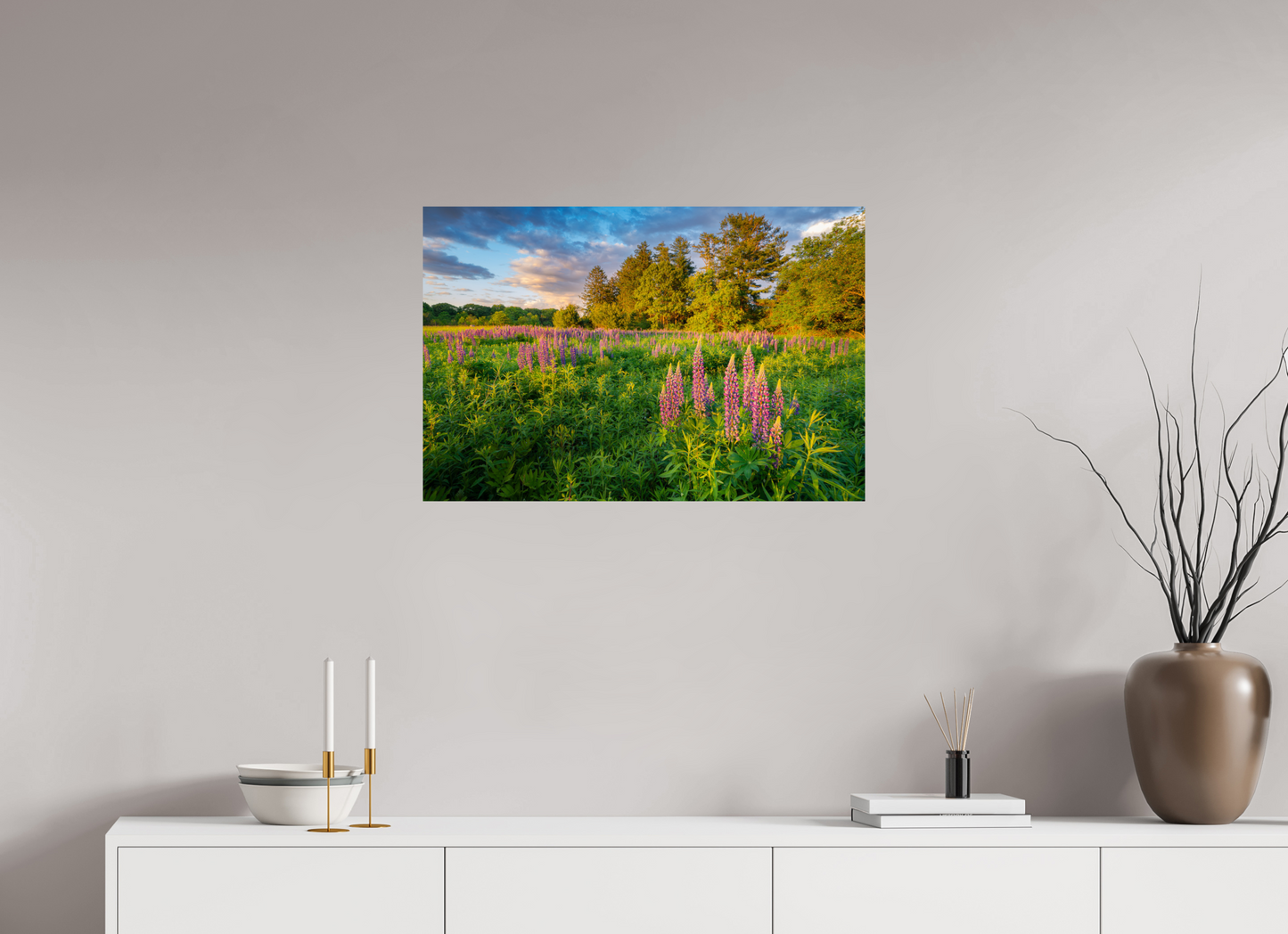30 x 20″, Premium Photo Print on Fujiflex High Gloss Paper Lupines at Golden Hour
