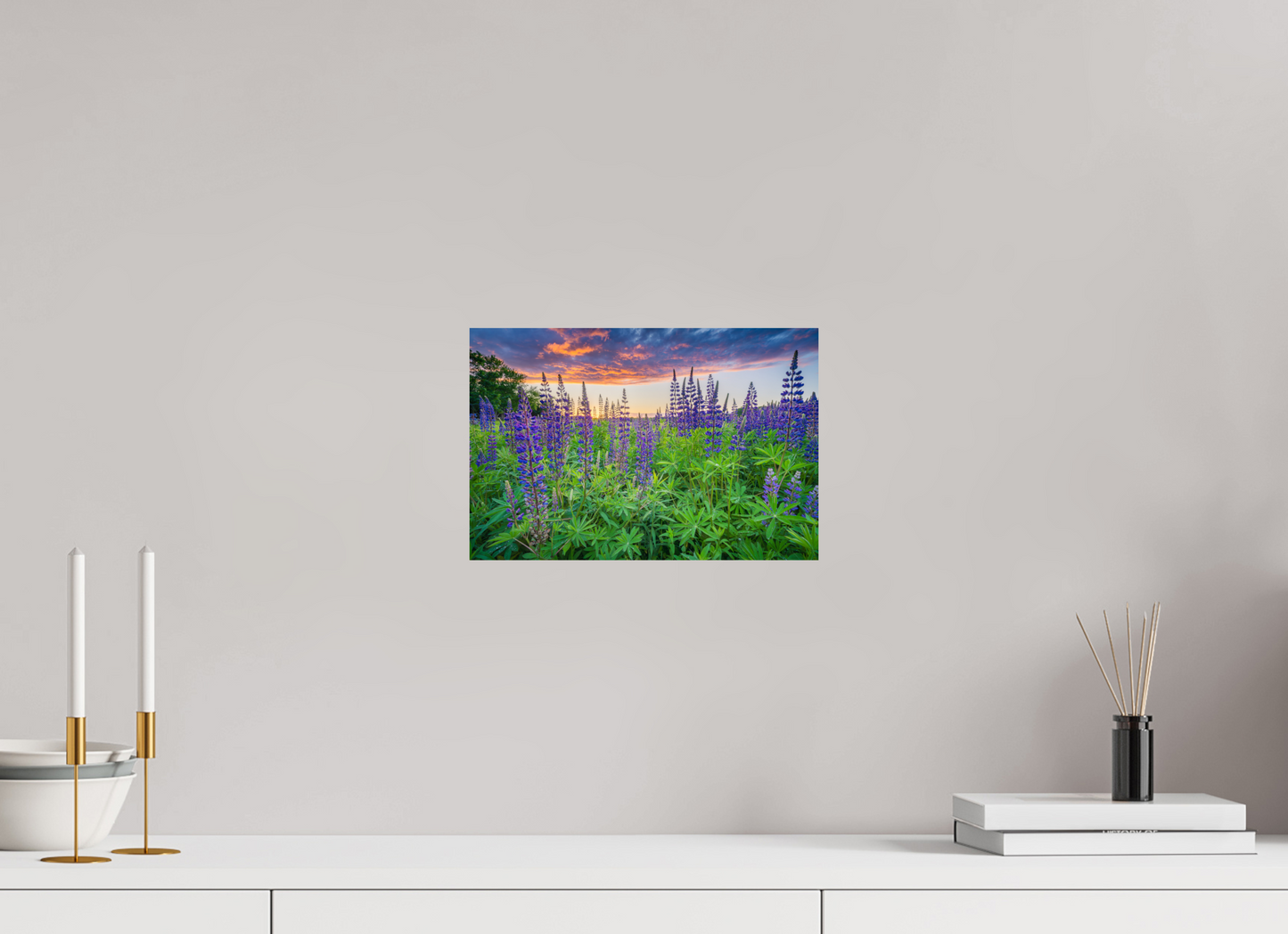 12 x 8″, Premium ChromaLuxe HD Aluminum Metal Print Lupine Sunset