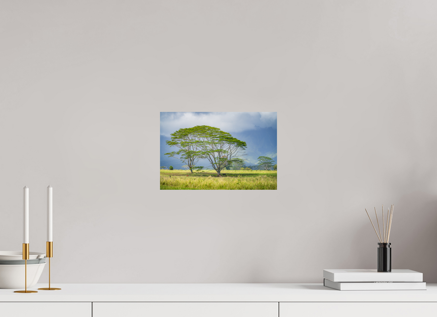 12 x 8″, Metallic Photo Print on Fuji Crystal Pearl Savanna Trees of Kauai