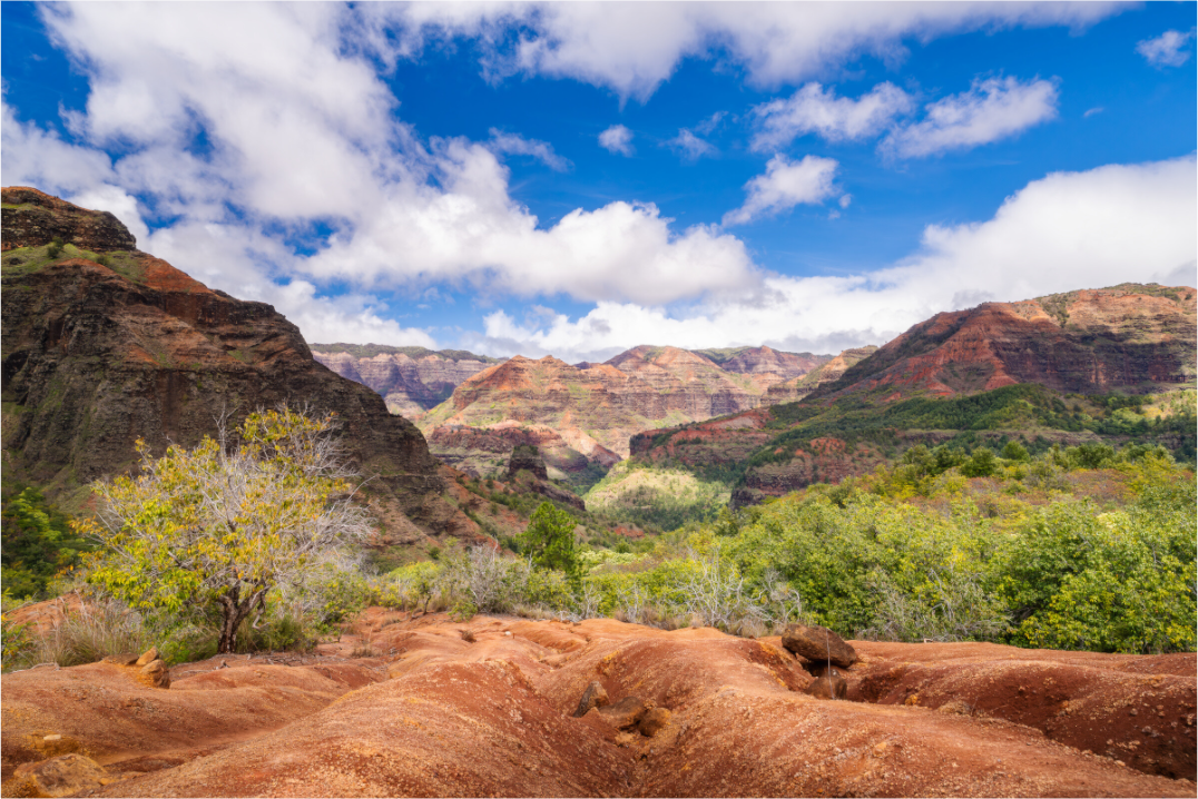 Main image Along the Kukui Trail