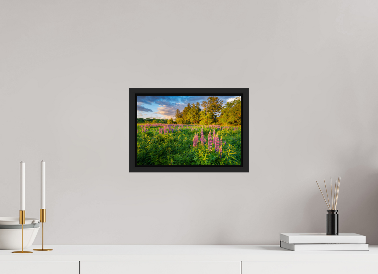12 x 8″, Premium ChromaLuxe HD Aluminum Metal Print with Black Wood Floater Frame Lupines at Golden Hour