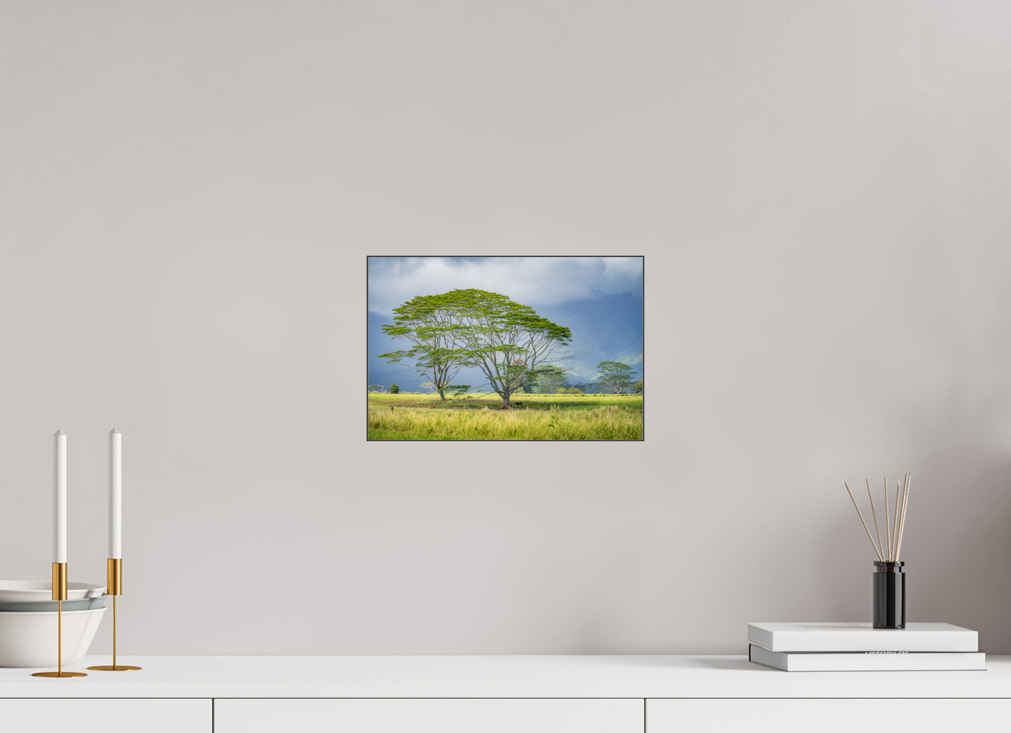 12 x 8″, Photo Print under Acrylic Glass with Black Slimline Case Savanna Trees of Kauai