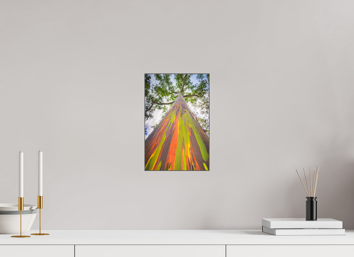 8 x 12″, Photo Print under Acrylic Glass with Black Slimline Case Rainbow Eucalyptus Tree