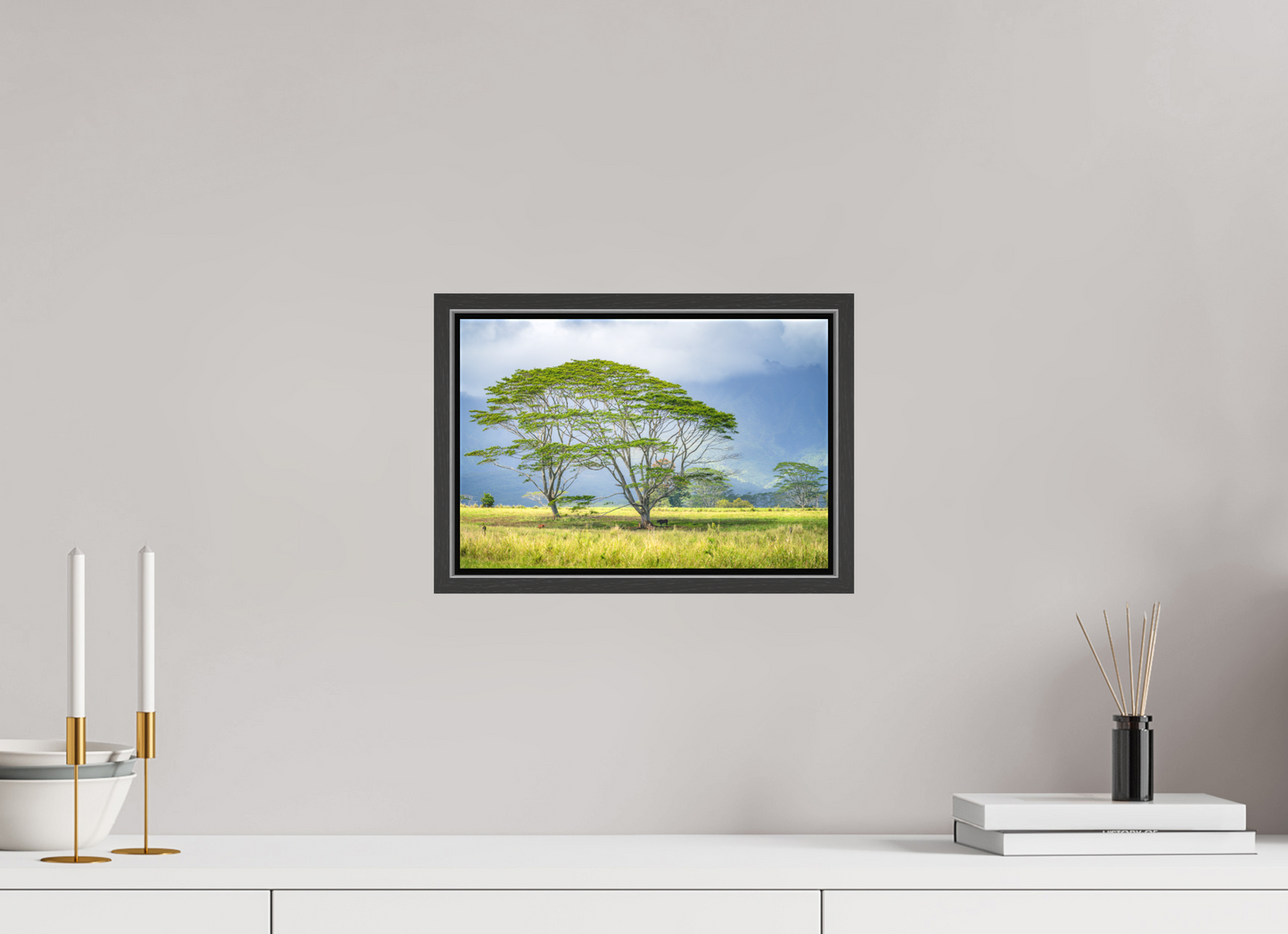 12 x 8″, Matte Canvas Print with Black Wood Floater Frame Savanna Trees of Kauai