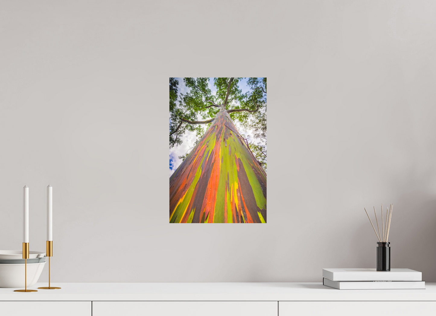 10 x 15″, Photo Print on Fuji Crystal DP II Rainbow Eucalyptus Tree