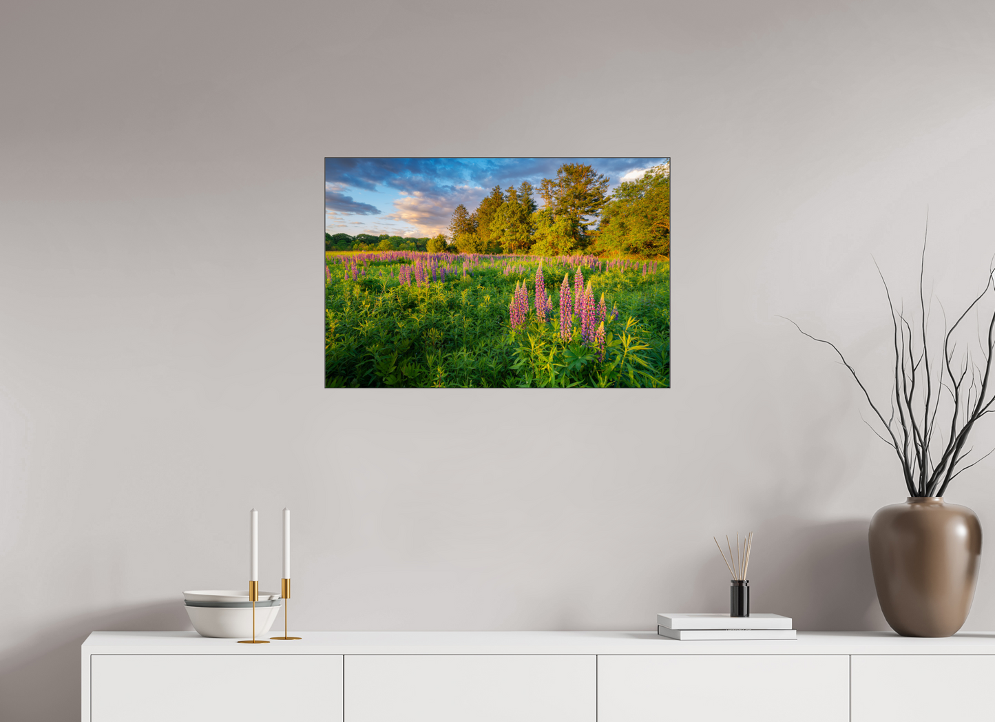 30 x 20″, Premium Photo Print under Acrylic Glass with Black Slimline Case Lupines at Golden Hour