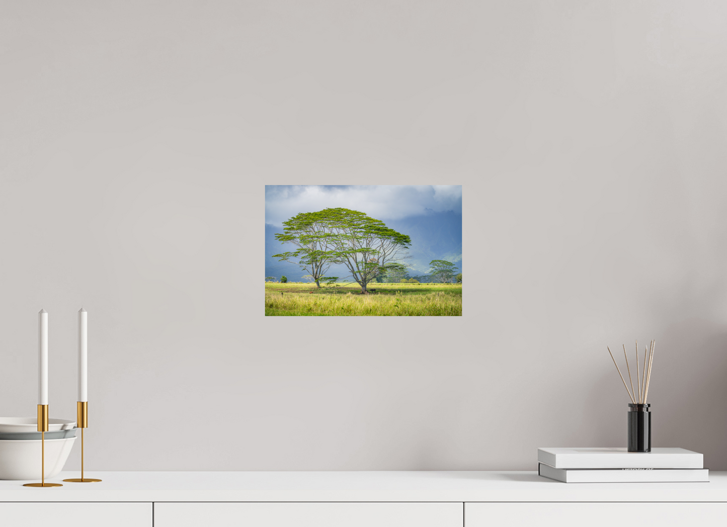 12 x 8″, ChromaLuxe HD Metal Print Savanna Trees of Kauai