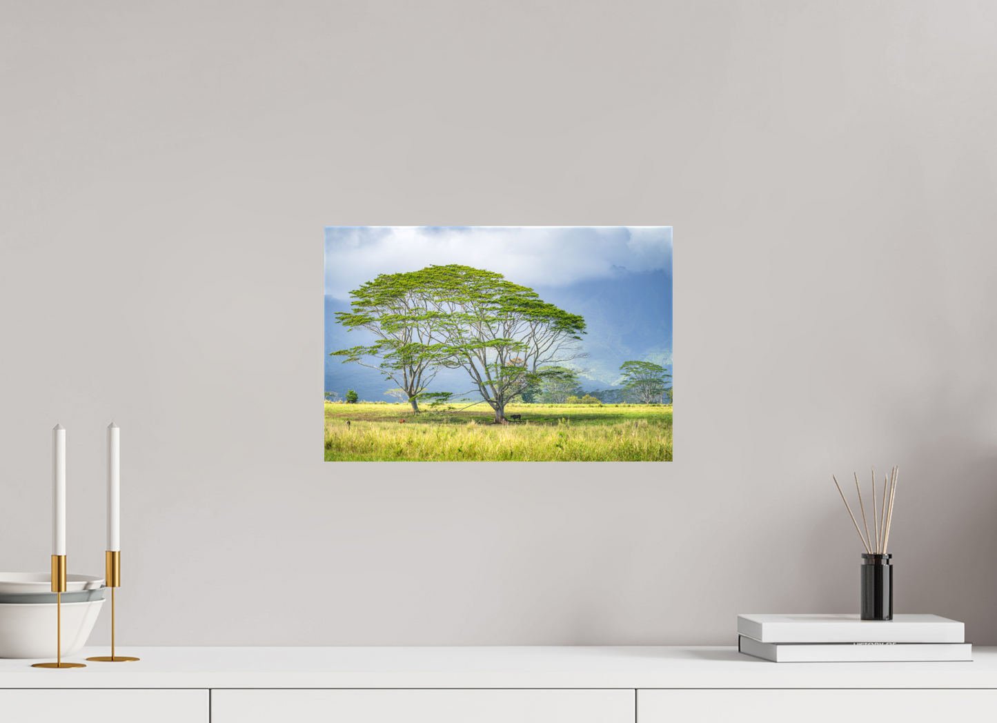 15 x 10″, Matte Canvas Print Savanna Trees of Kauai