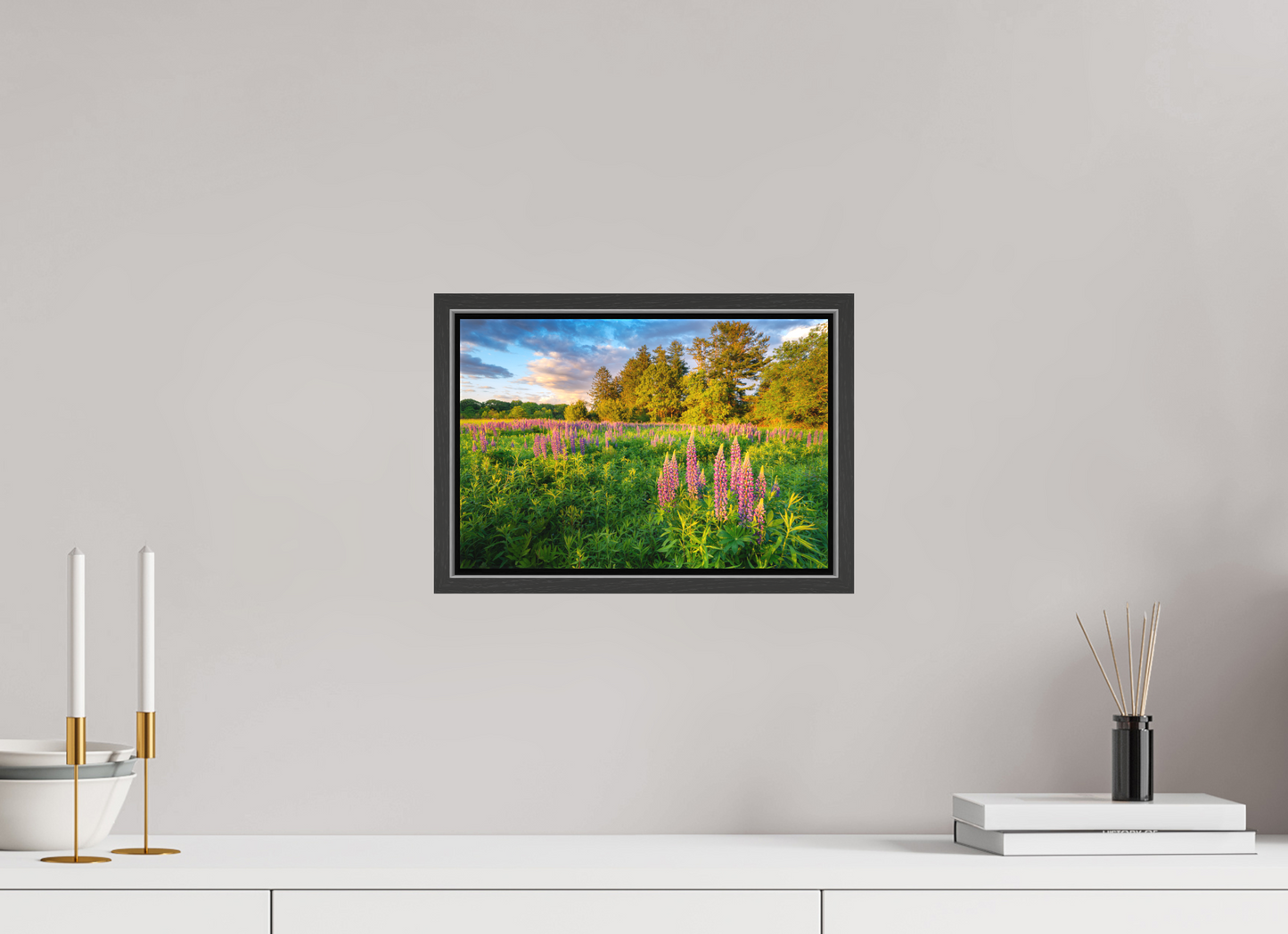 12 x 8″, Matte Canvas Print with Black Wood Floater Frame Lupines at Golden Hour