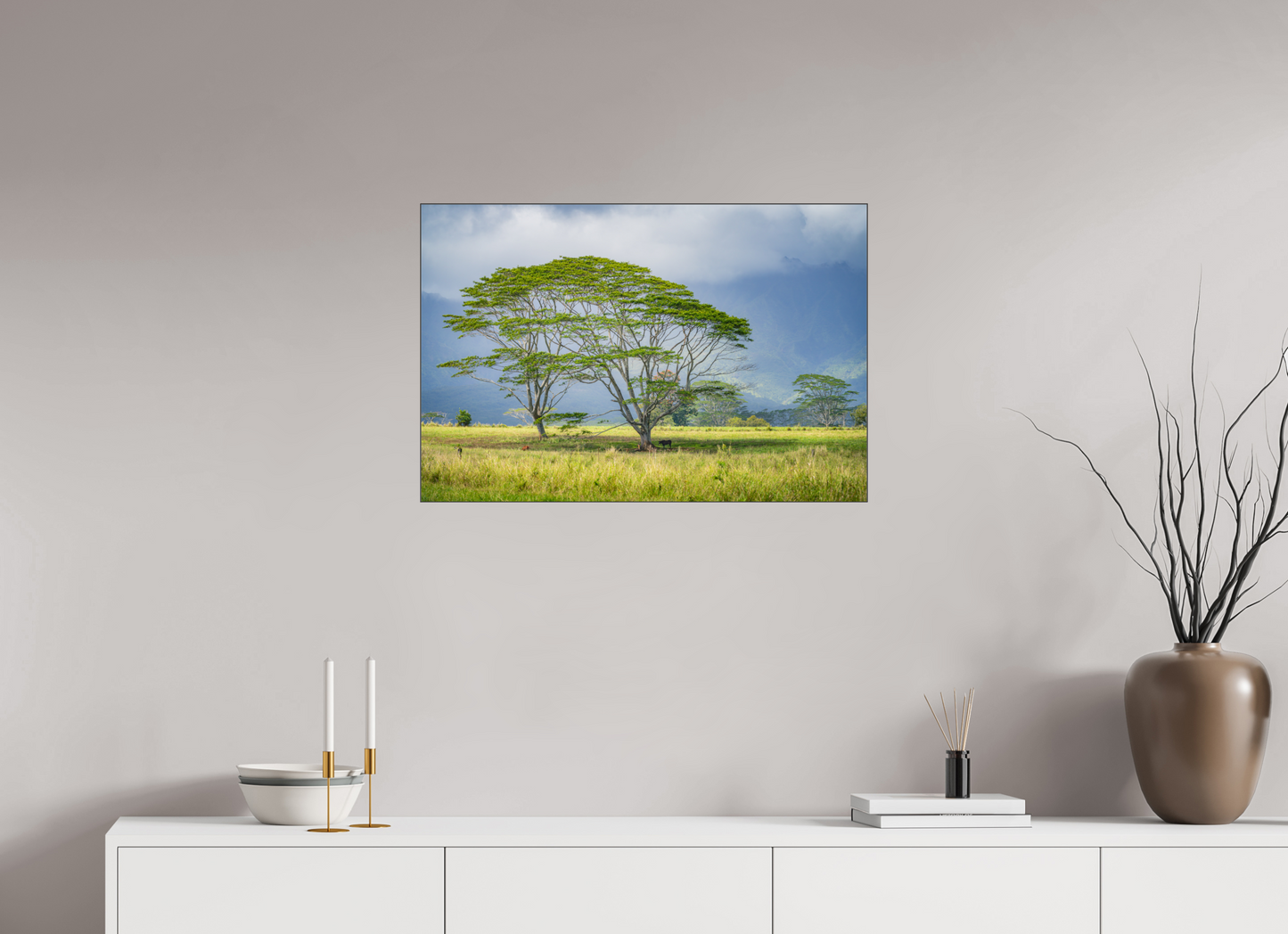 30 x 20″, Photo Print under Acrylic Glass with Black Slimline Case Savanna Trees of Kauai