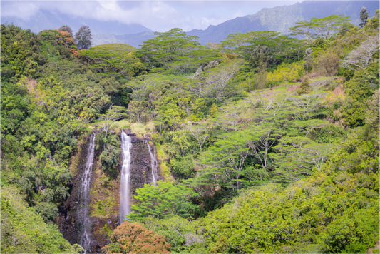 Main image Opeka Falls