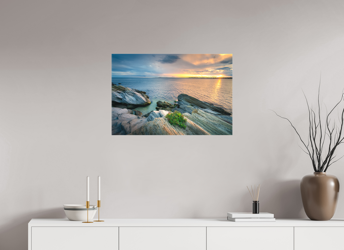 30 x 20″, Matte Canvas Print Beavertail Sun Rays