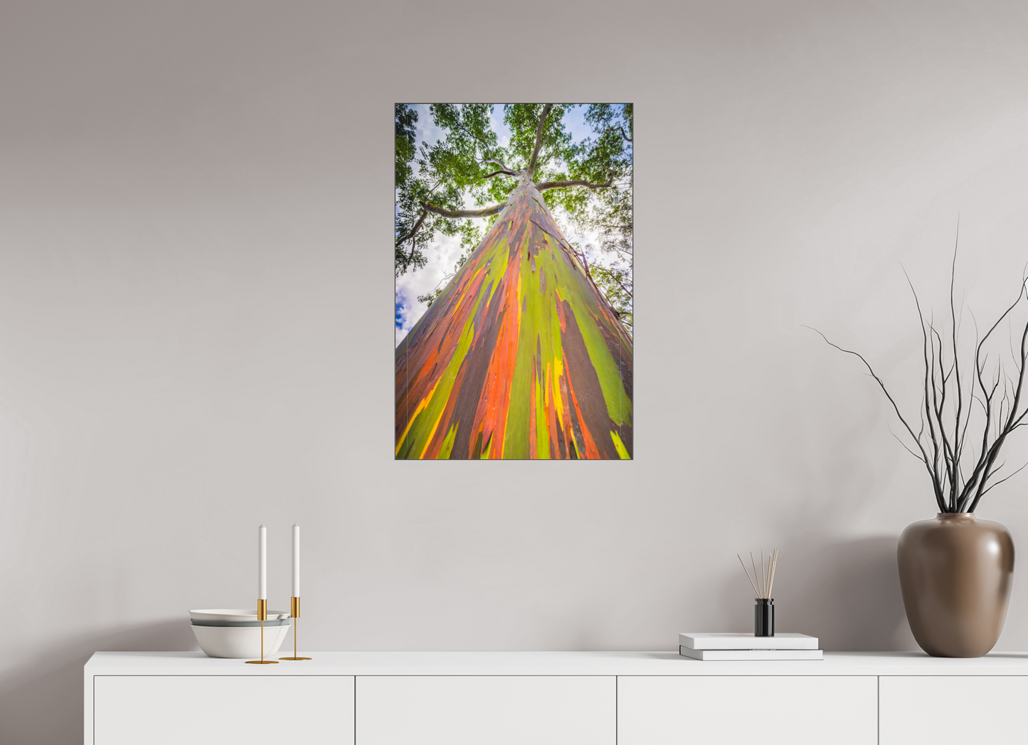 20 x 30″, Photo Print under Acrylic Glass with Black Slimline Case Rainbow Eucalyptus Tree