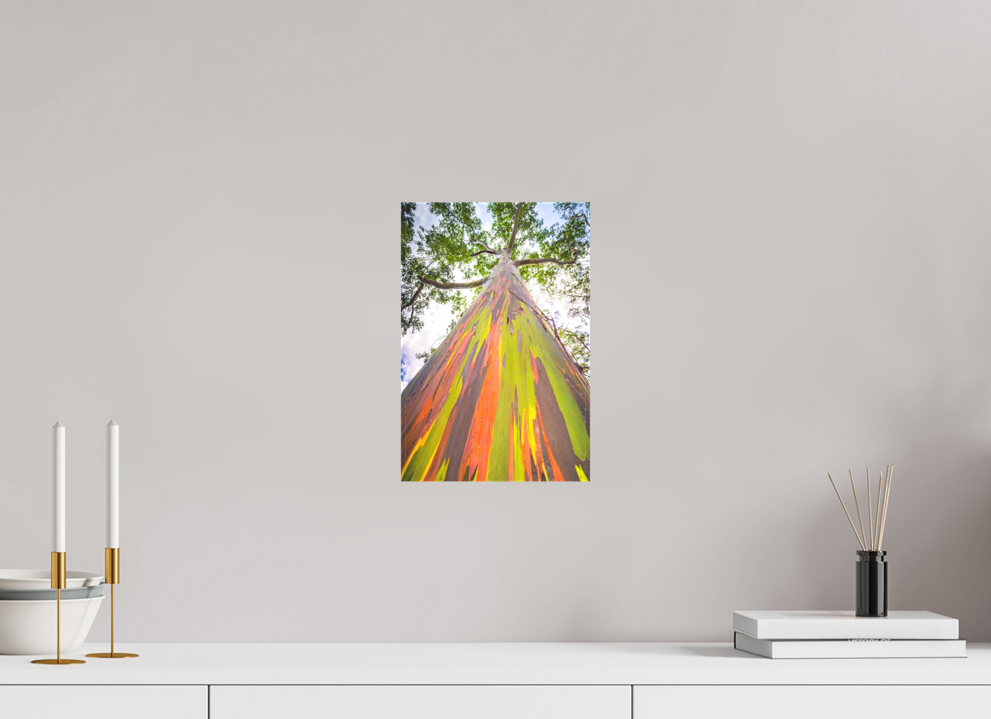 8 x 12″, Matte Canvas Print Rainbow Eucalyptus Tree