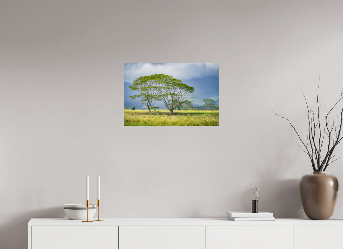 24 x 16″, Photo Print on Fuji Crystal DP II Savanna Trees of Kauai