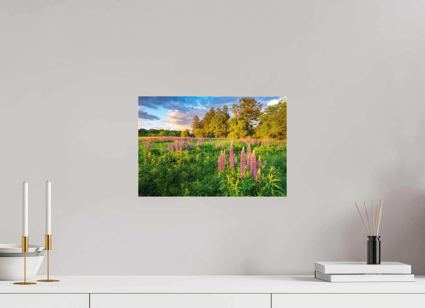 15 x 10″, Matte Canvas Print Lupines at Golden Hour