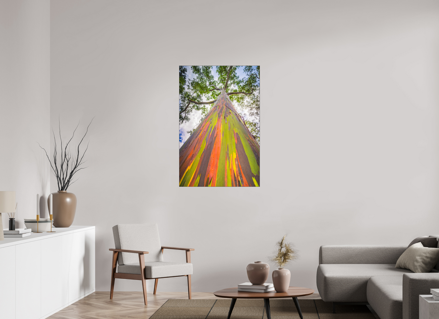 30 x 45″, Photo Print under Acrylic Glass with Black Slimline Case Rainbow Eucalyptus Tree