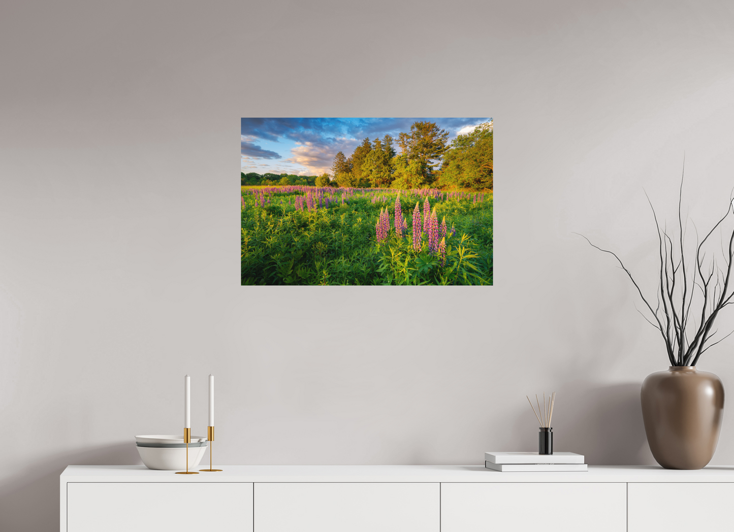 30 x 20″, Basic Matte Photo Print on Fuji Crystal DP II Paper Lupines at Golden Hour