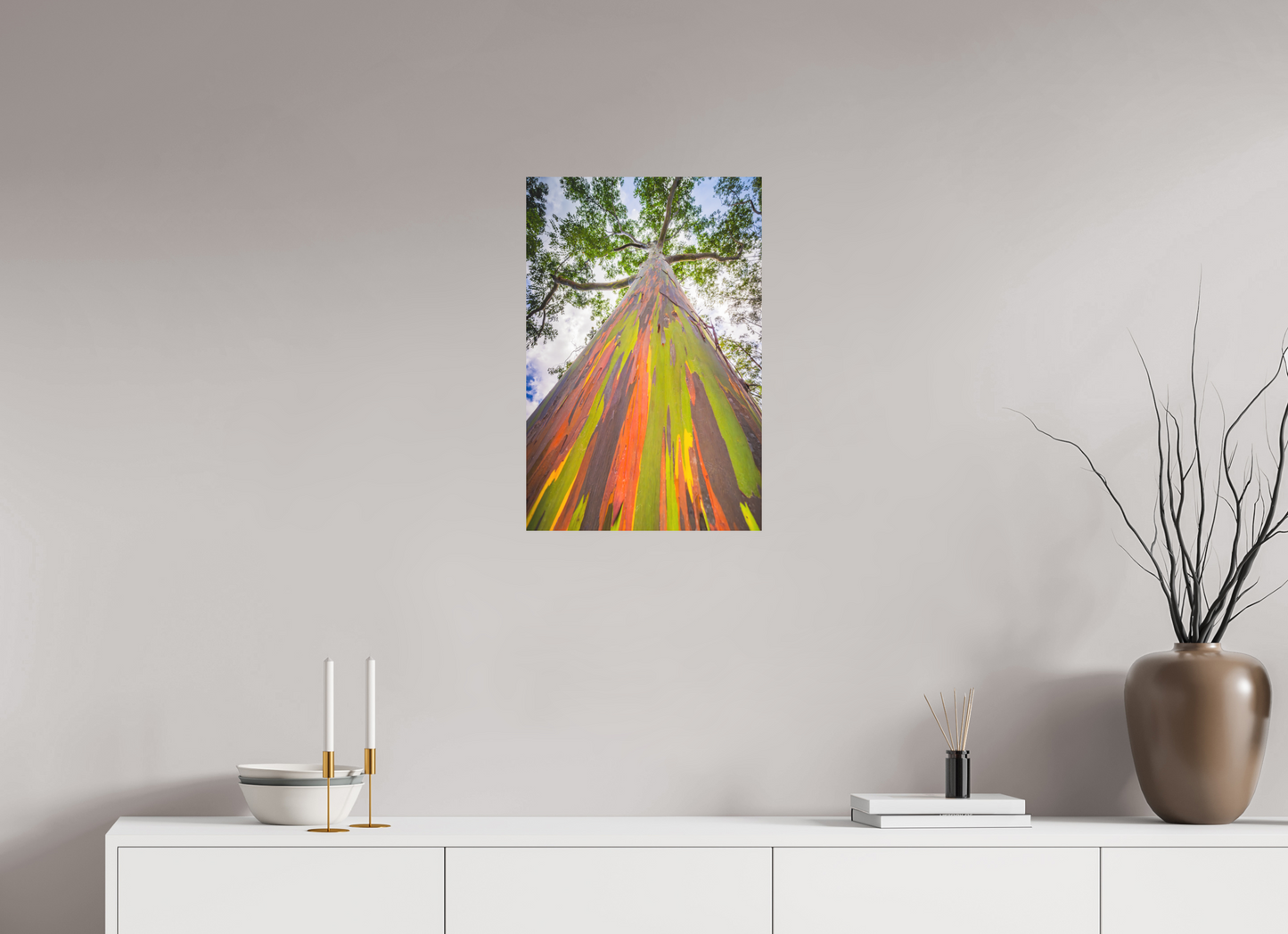 16 x 24″, Matte Photo Print on Fuji Crystal DP II Rainbow Eucalyptus Tree