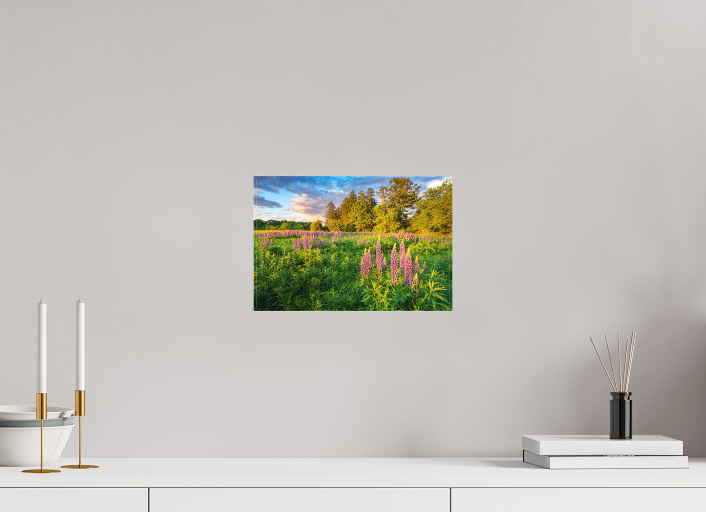 12 x 8″, Matte Canvas Print Lupines at Golden Hour