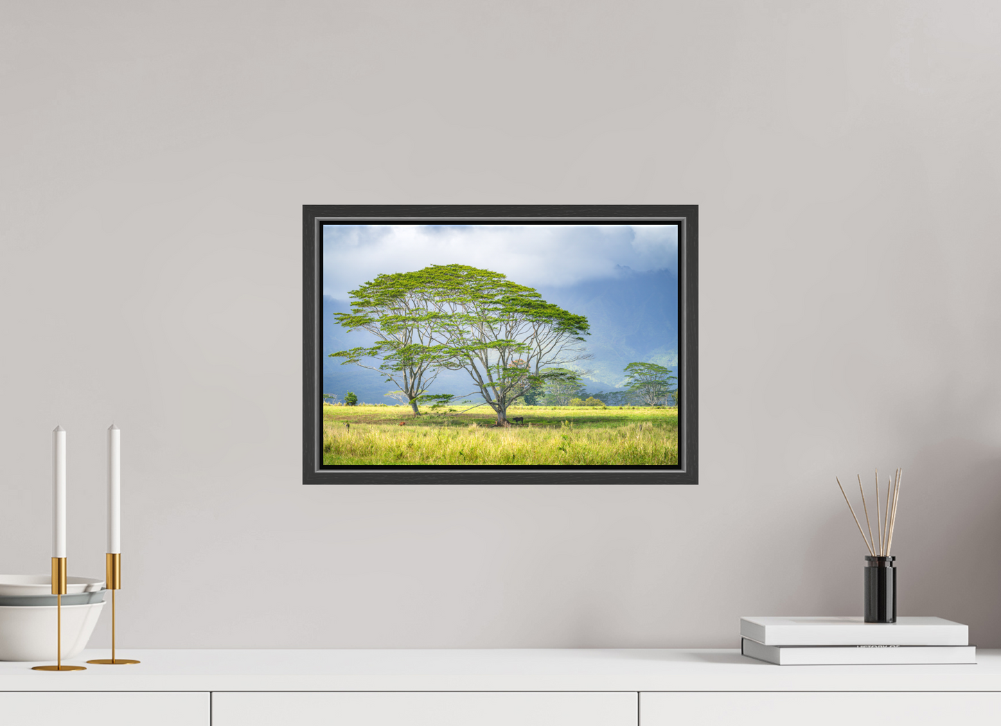 15 x 10″, Matte Canvas Print with Black Wood Floater Frame Savanna Trees of Kauai
