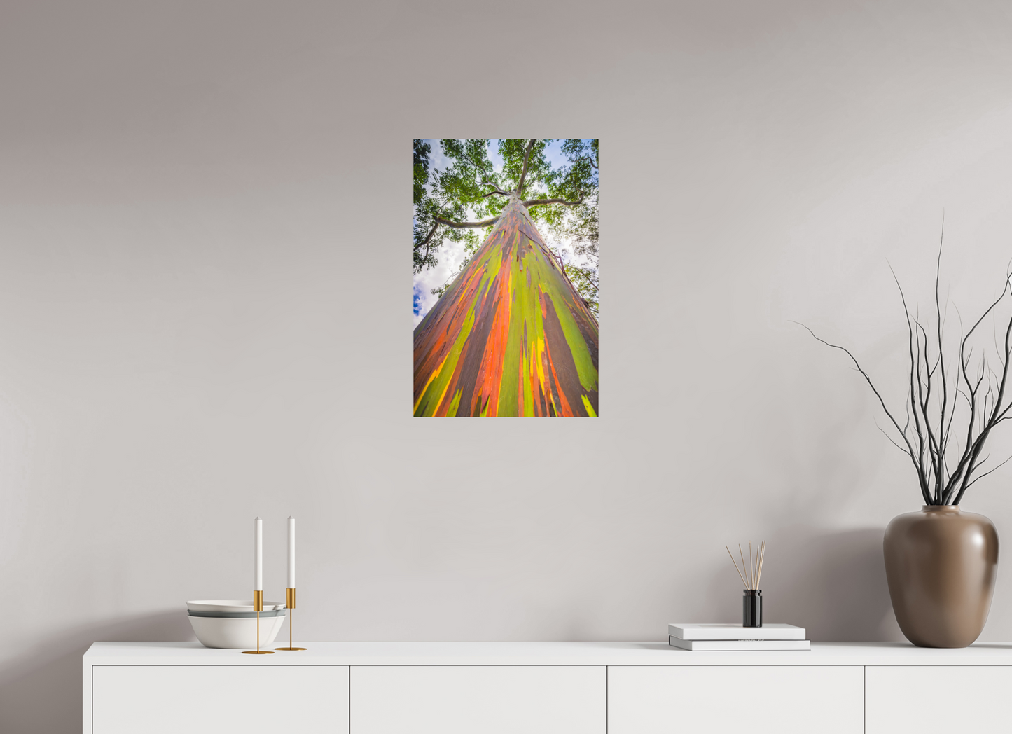 16 x 24″, Photo Print on Fuji Crystal DP II Rainbow Eucalyptus Tree
