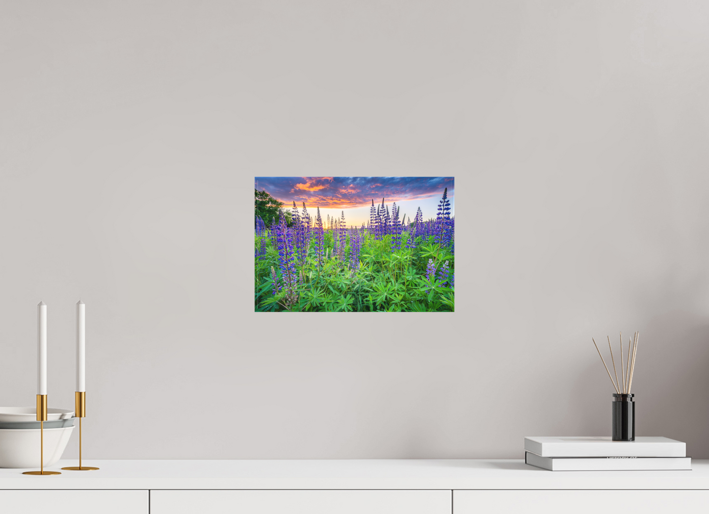 12 x 8″, Matte Canvas Print Lupine Sunset