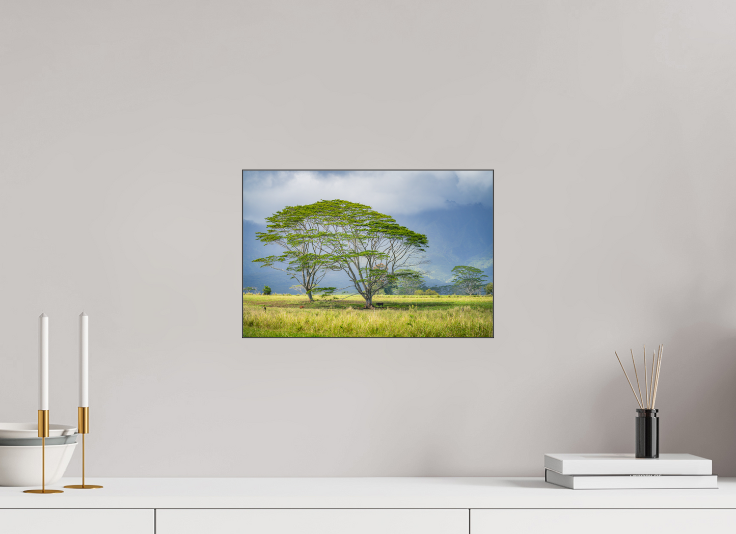 15 x 10″, Photo Print under Acrylic Glass with Black Slimline Case Savanna Trees of Kauai