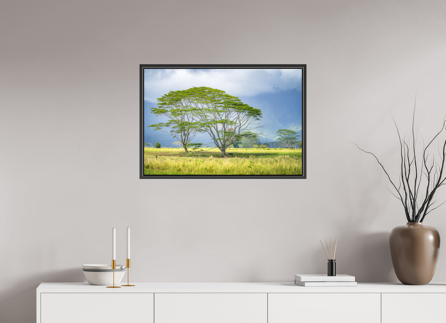 30 x 20″, Matte Canvas Print with Black Wood Floater Frame Savanna Trees of Kauai