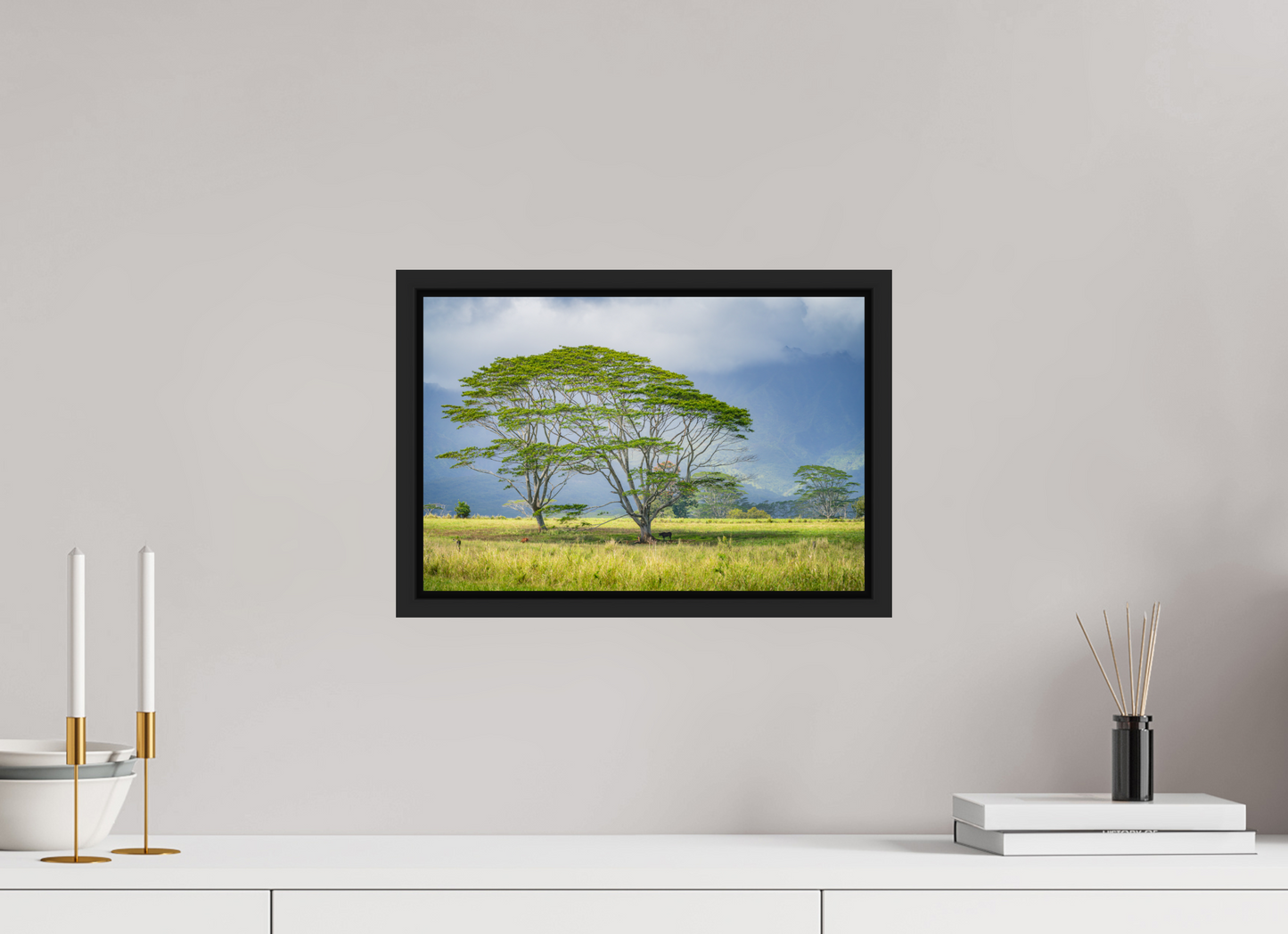 15 x 10″, ChromaLuxe HD Metal Print with Black Wood Floater Frame Savanna Trees of Kauai