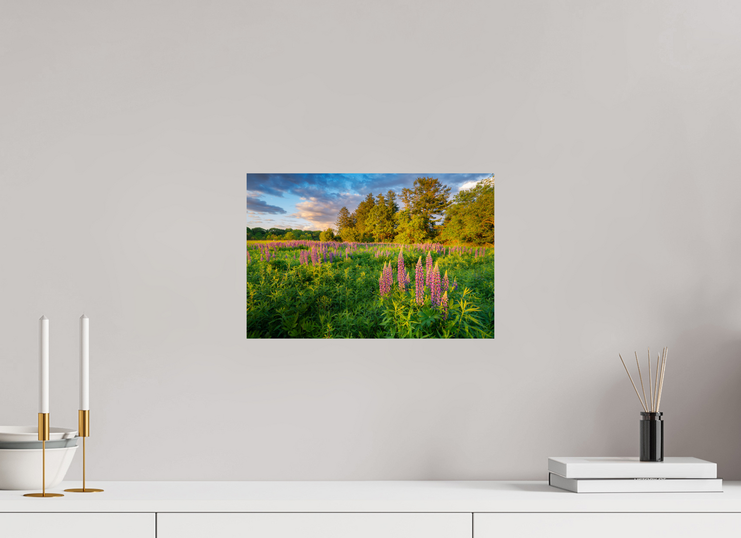 15 x 10″, Basic Photo Print on Fuji Crystal DP II Paper Lupines at Golden Hour